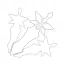 Spirit Blade: Cloud-Parting Star