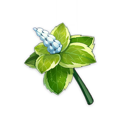 Mint