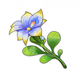 Pluie Lotus