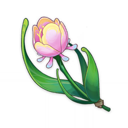 Rainbow Rose
