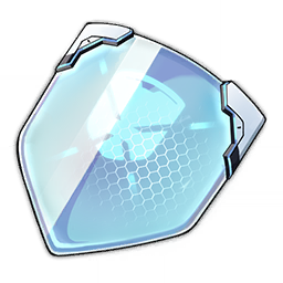 Disposable Shield