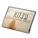 Newspaper