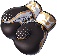 Champion's Heavy Gloves