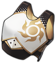 Champion's Chest Guard