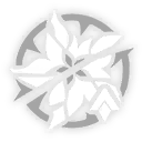 Shrined Fire for Mirrored Soul